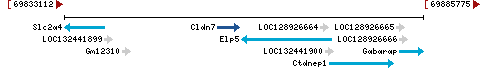 Genomic Context describing neighboring genes