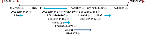 Genomic Context describing neighboring genes