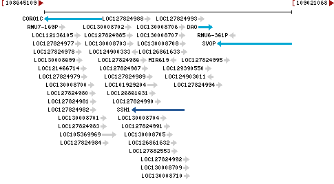 Genomic Context describing neighboring genes