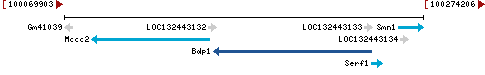 Genomic Context describing neighboring genes