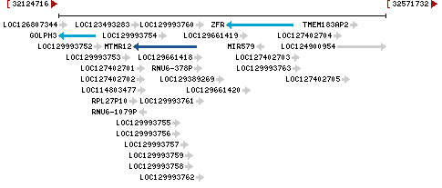 Genomic Context describing neighboring genes