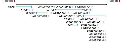 Genomic Context describing neighboring genes