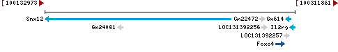 Genomic Context describing neighboring genes