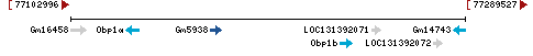 Genomic Context describing neighboring genes