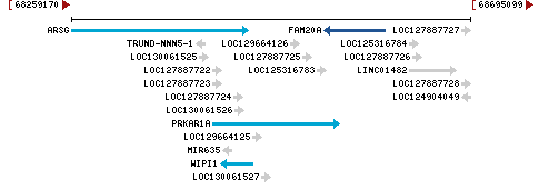 Genomic Context describing neighboring genes