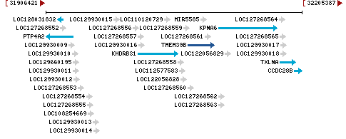 Genomic Context describing neighboring genes