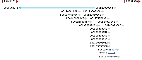 Genomic Context describing neighboring genes