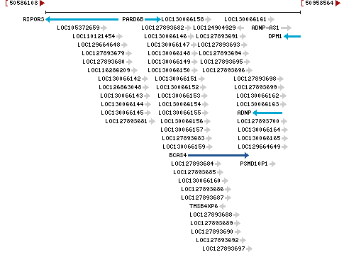 Genomic Context describing neighboring genes