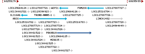 Genomic Context describing neighboring genes