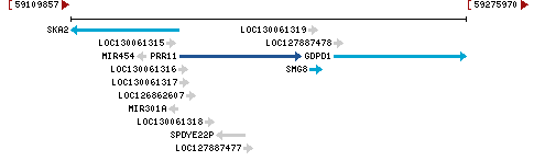 Genomic Context describing neighboring genes