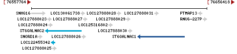 Genomic Context describing neighboring genes