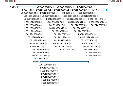 Genomic Context describing neighboring genes