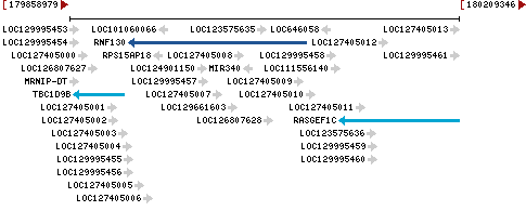 Genomic Context describing neighboring genes