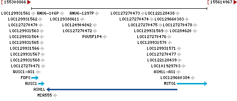 Genomic Context describing neighboring genes