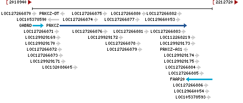 Genomic Context describing neighboring genes