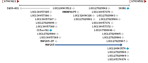 Genomic Context describing neighboring genes