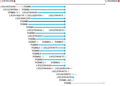 Genomic Context describing neighboring genes