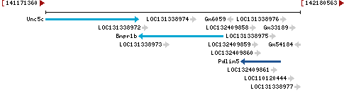 Genomic Context describing neighboring genes