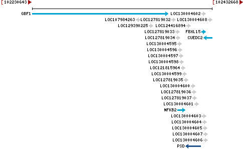 Genomic Context describing neighboring genes