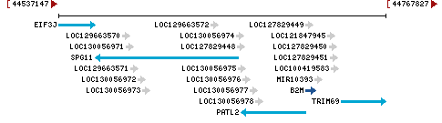 Genomic Context describing neighboring genes