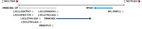 Genomic Context describing neighboring genes