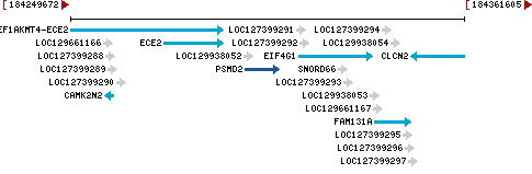 Genomic Context describing neighboring genes