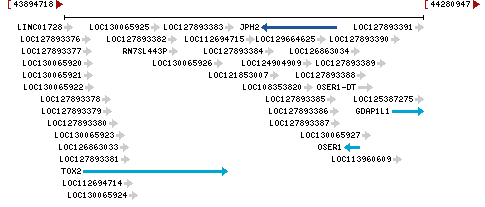 Genomic Context describing neighboring genes