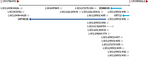 Genomic Context describing neighboring genes