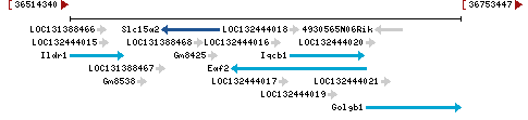 Genomic Context describing neighboring genes