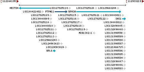 Genomic Context describing neighboring genes