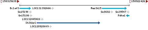 Genomic Context describing neighboring genes