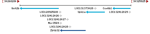 Genomic Context describing neighboring genes