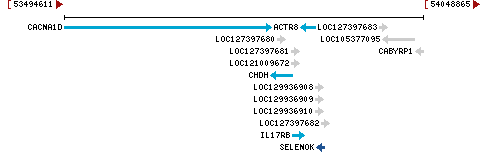 Genomic Context describing neighboring genes