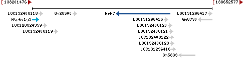 Genomic Context describing neighboring genes