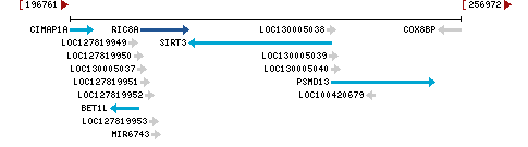 Genomic Context describing neighboring genes