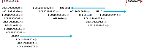 Genomic Context describing neighboring genes