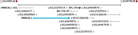 Genomic Context describing neighboring genes