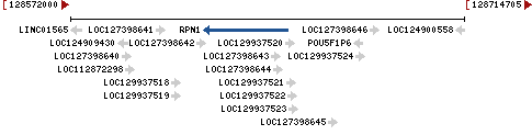 Genomic Context describing neighboring genes