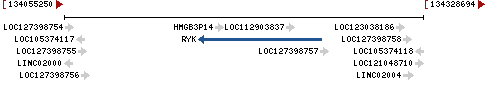 Genomic Context describing neighboring genes