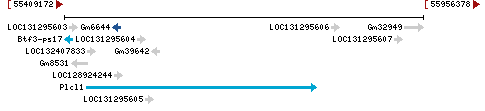 Genomic Context describing neighboring genes