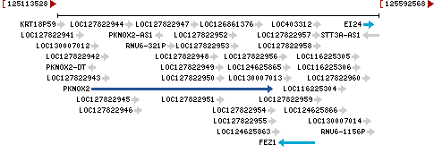 Genomic Context describing neighboring genes