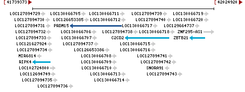 Genomic Context describing neighboring genes