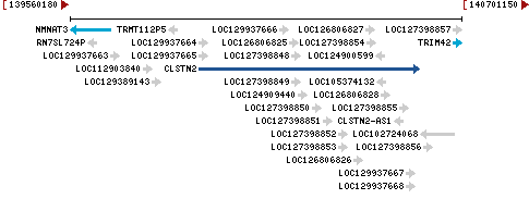 Genomic Context describing neighboring genes