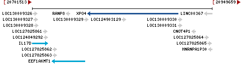 Genomic Context describing neighboring genes