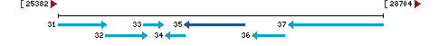 Genomic Context describing neighboring genes