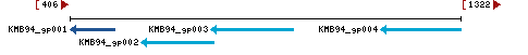 Genomic Context describing neighboring genes