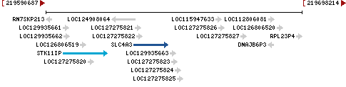 Genomic Context describing neighboring genes