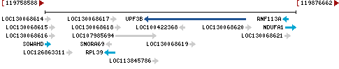 Genomic Context describing neighboring genes