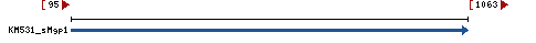 Genomic Context describing neighboring genes