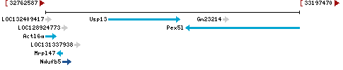 Genomic Context describing neighboring genes